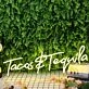 Tacos And Tequila Yellow Neon Sign for Fun and Social Spaces