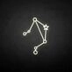 'Libra' neon sign