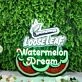 LooseLeaf Watermelon Dream Custom Neon Sign for Fun and Whimsical Spaces