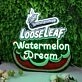 LooseLeaf Watermelon Dream Custom Neon Sign for Fun and Whimsical Spaces