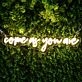 Come As You Are Neon Sign for Welcoming and Inclusive Spaces
