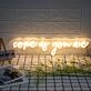 Come As You Are Neon Sign for Welcoming and Inclusive Spaces