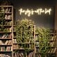 The Sky Is Not the Limit Neon Sign for Inspirational and Motivational Spaces