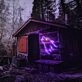 Wolf Head Animal Neon Sign for Bold and Wild Spaces