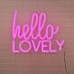 Hello Lovely Neon Sign adds a welcoming feel to any home