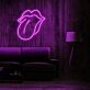 Wild Mouth Art Piece Neon Sign for bold and artistic settings