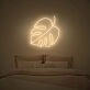 Monstera Leaf Neon Sign adds a tropical touch to any room