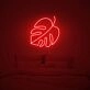 Monstera Leaf Neon Sign adds a tropical touch to any room
