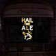 Hail The Ale Neon Sign ideal for pubs and bars
