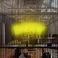 Happy Neon Sign V2 adds a cheerful atmosphere to any space