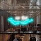 Lake Dippin Neon Sign adds a playful touch to any room