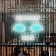 No Sleep Club Neon Sign perfect for night owls