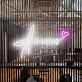 Amour Neon Sign perfect for romantic settings