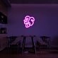 Leaf Neon Sign adds a natural touch to any space