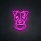 Boxer Neon Sign for Fitness Enthusiasts