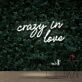 Crazy In Love Neon Sign for Romantic and Playful Spaces