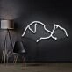 Dog Cat Neon Sign for Pet Lovers and Kids Rooms