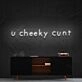 U Cheeky Cxnt Neon Sign for Bold Statements