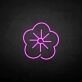 Sakura' neon sign