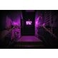 Nothing To See Here Neon Sign Add a touch of humor to your space