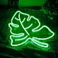 Green Leaves Neon Sign Home Natural Vibes