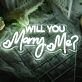 Will You Marry Me Neon Sign Proposal