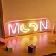 Brighten Up Your Nights: Perfect for Home Decor, Romantic Evenings, and Vibrant Parties with Back Plate LED Neon Moon LED Neon Sign.