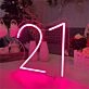Brighten Your 21st Birthday Bash and Home Space with the Custom Number 21 Birthday Party LED Neon Sign