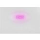 Elevate Your Office, Bar, or Event Ambiance with the Personal Touch of Customized LED Neon Light Number 1995 LED Neon Sign.