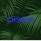 Brighten Up Your Nights: Disco LED Neon Sign for Bars, Clubs, and Festive Home Parties