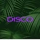 Brighten Up Your Nights: Disco LED Neon Sign for Bars, Clubs, and Festive Home Parties