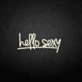 hello sexy neon sign