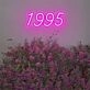 Brighten Your Bar, Office, and Special Celebrations with the Number 1995 LED Neon Sign.