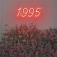 Brighten Your Bar, Office, and Special Celebrations with the Number 1995 LED Neon Sign.