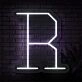 Brighten Up Your Space: Personalized Initial Letter R LED Neon Sign for Home, Office, Weddings & Parties.