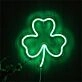 Brighten Up Your Bar, Store, and Special Events with Roouoneon LED Neon Sign.