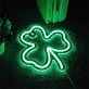 Brighten Up Your Bar, Store, and Special Events with Roouoneon LED Neon Sign.