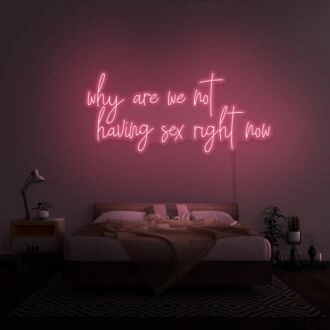 Why Are We Not Having Sex Right Now Neon Sign