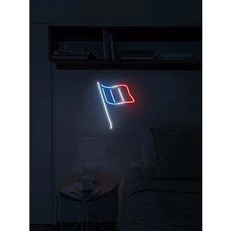 Flag of France Neon Sign