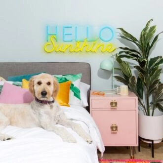 Hello Sunshine Neon Sign for Positive and Happy Decor