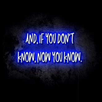 If You Don't Know, Now You Know LED Neon Sign