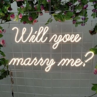 Will You Marry Me – Led Neon Sign