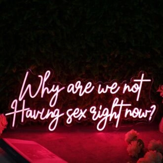 Why Are We Not Having Sex Right Now Red Neon Sign