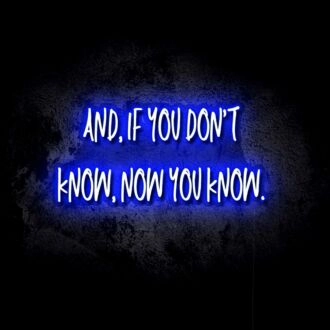 If You Don't Know, Now You Know LED Neon Sign