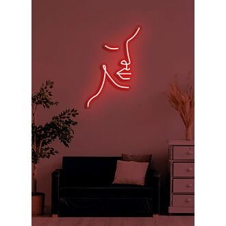 Halbgesicht Neonkunst Dualität und Komplexität in Lichtform