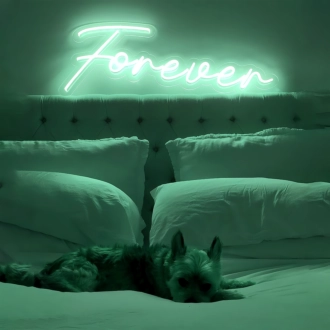 Forever with Neon Art