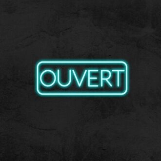 Ouvert Neon Sign for French-speaking Businesses