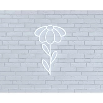 Brighten Up Your Space: From Cozy Home Corners to Vibrant Office Vibes with LED Oopsie Daisy Neon Sign.