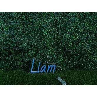 Brighten Up Your Space: Liam Blue LED Neon Sign Perfect for Home Decor, Office Ambiance, and Vibrant Store Displays