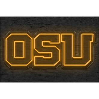 Brighten Up Your Game Room, Bar, or Dorm with the Osu Logo LED Neon Sign.